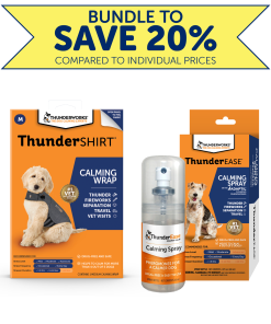 Calm Anywhere Bundle