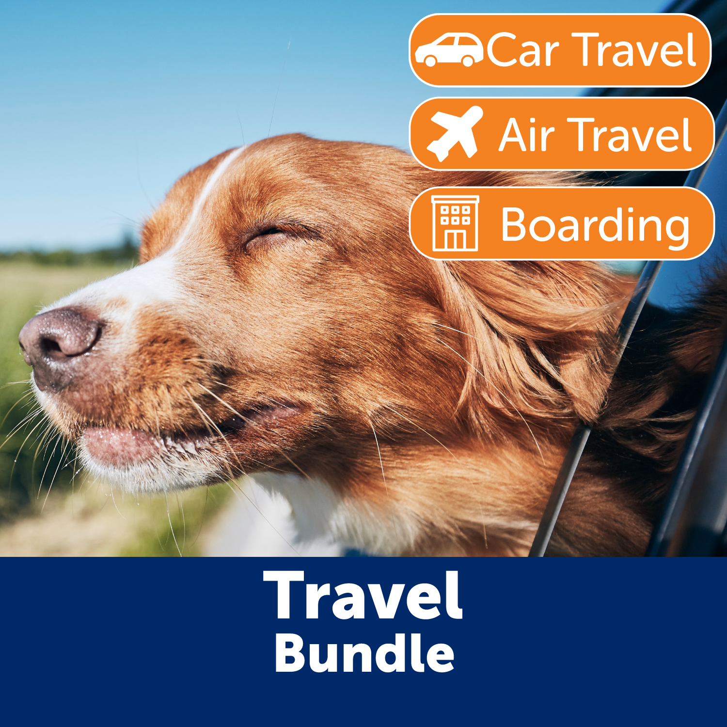 02-Travel_Bundle-Uses.png