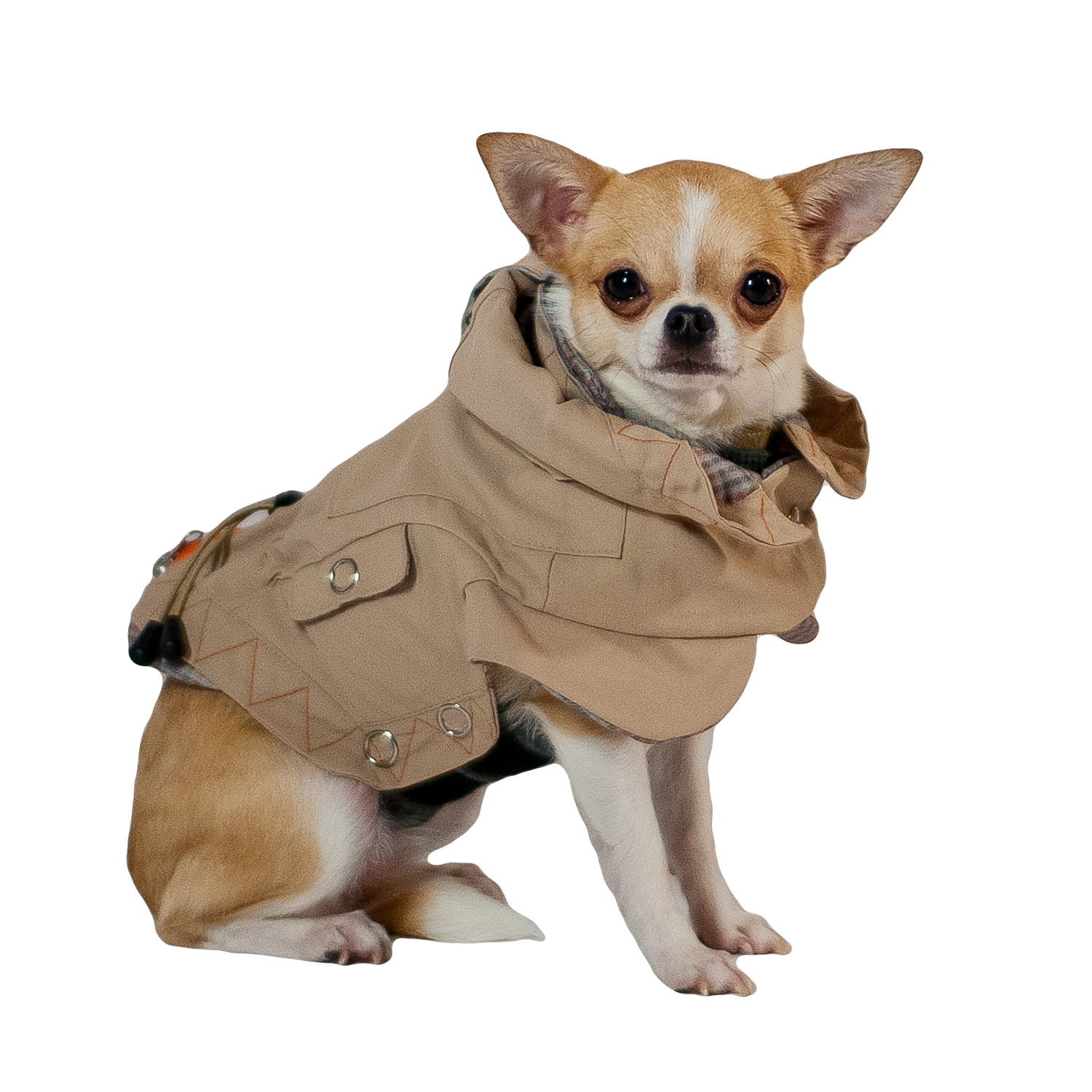 Coat1_1500.png